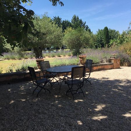 Typical Provencal Farm House Close To L'Isle Sur La Sorgue - 12 Persons Cavaillon Luaran gambar