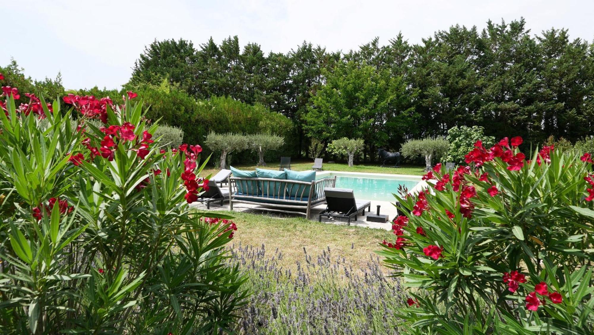 Typical Provencal Farm House Close To L'Isle Sur La Sorgue - 12 Persons Cavaillon Luaran gambar