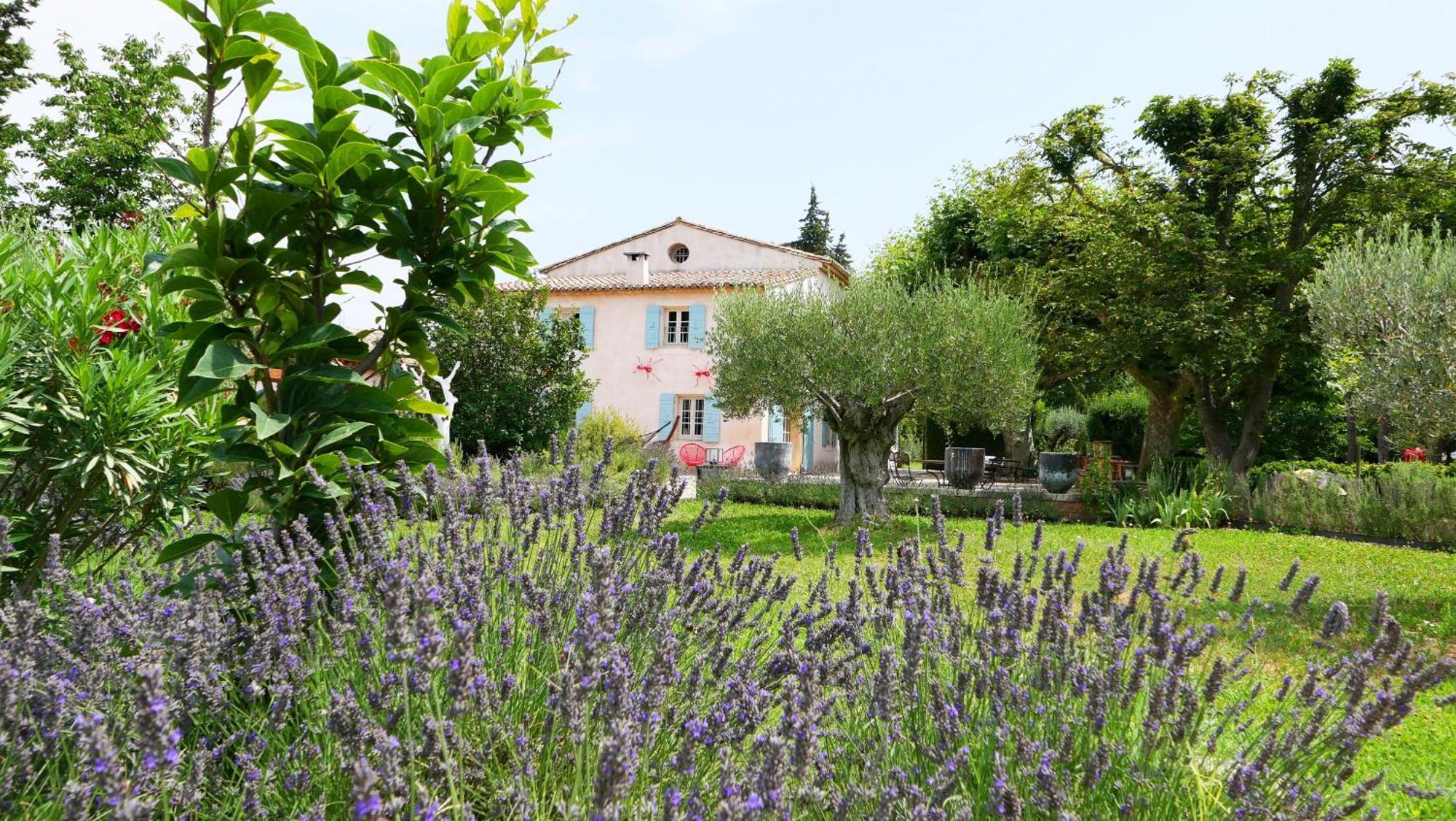 Typical Provencal Farm House Close To L'Isle Sur La Sorgue - 12 Persons Cavaillon Luaran gambar